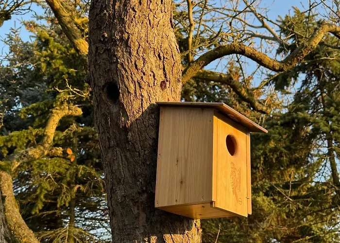 Lägenhet Backhuus 2